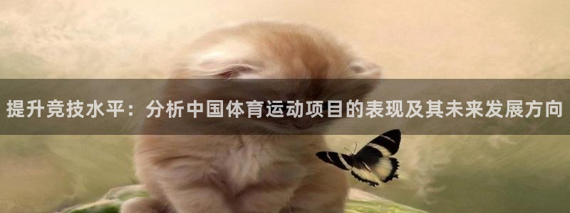 风速体育cba直播