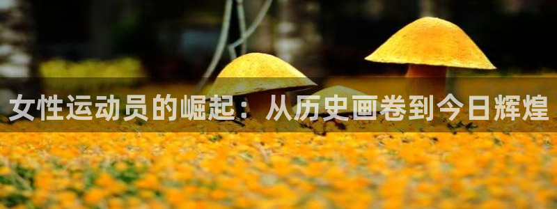 下载风速体育