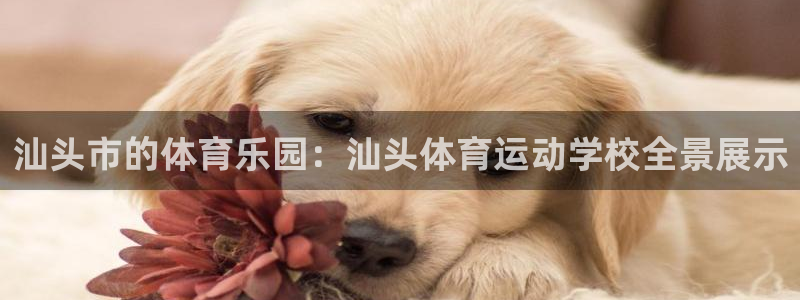 风速体育