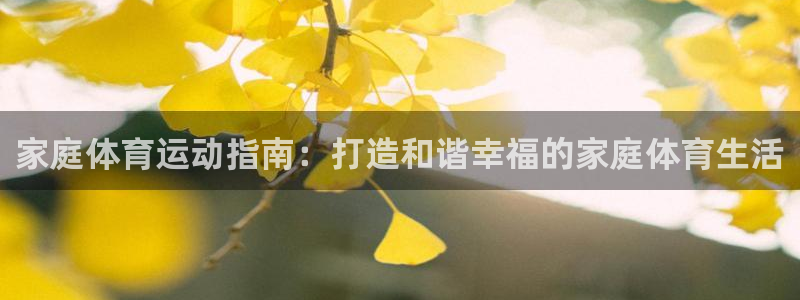风速体育