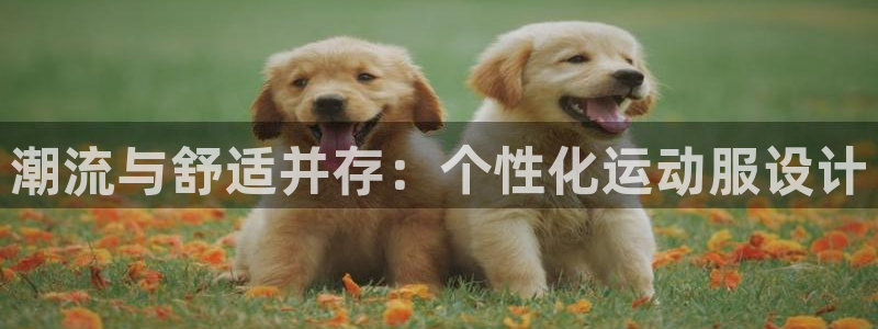 风速体育