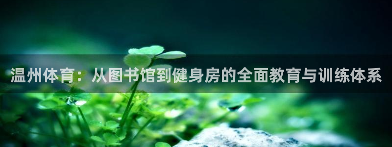 风速体育