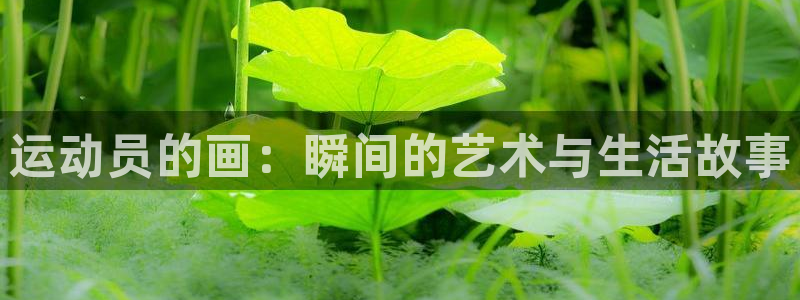 风速体育app下载官网最新版