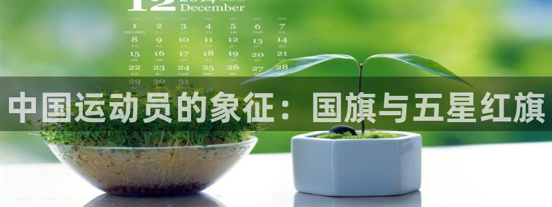 风速体育app