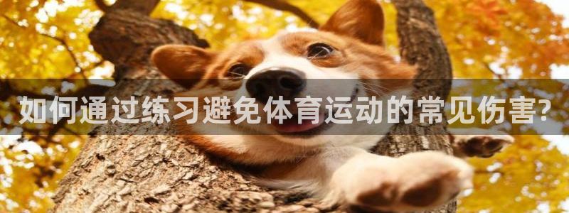 风速体育nba免费直播：如何通过练习避免体育运动的常见伤害?