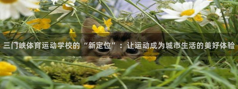 风速体育app下载安装最新版本：三门峡体育运动学校的“新定位”：让运动成为城市生活的美好体验