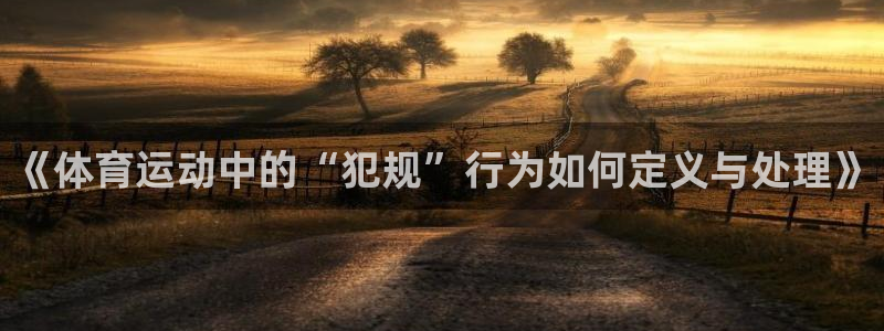 风速体育下载：《体育运动中的“犯规”行为如何定义与处理》