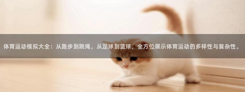 风速体育官网：体育运动模拟大全：从跑步到跳绳，从足球到篮球，全方位展示体育运动的多样性与复杂性。