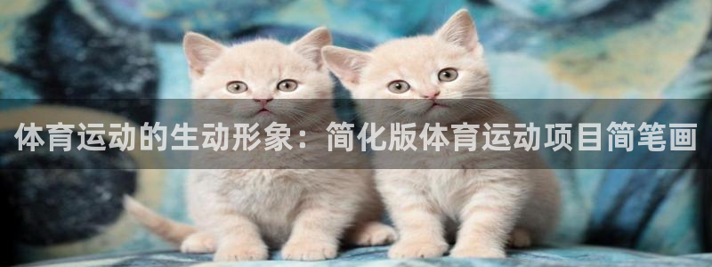 风速体育app官方下载：体育运动的生动形象：简化版体育运动项目简笔画
