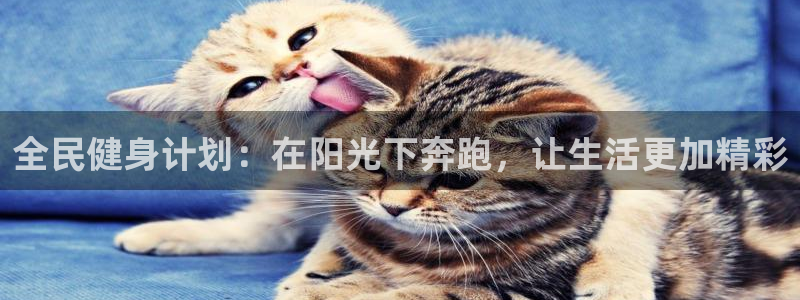 风速体育app官方下载：全民健身计划：在阳光下奔跑，让生活更加精彩