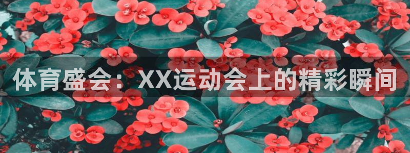 风速体育app下载官网最新版：体育盛会：XX运动会上的精彩瞬间