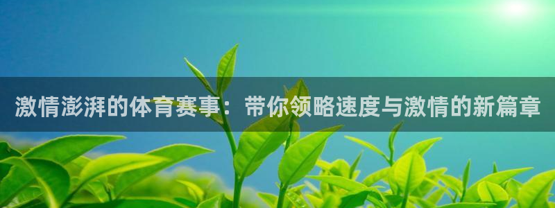 风速体育nba直播：激情澎湃的体育赛事：带你领略速度与激情的新篇章