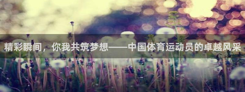 风速体育app下载安装最新版本