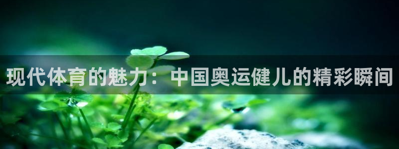 风速体育nba免费直播