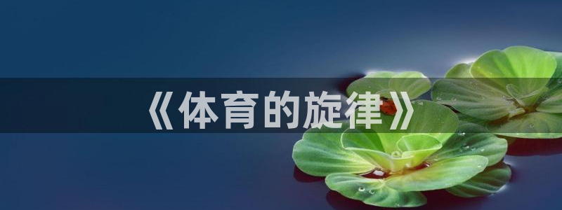 风速体育nba直播：《体育的旋律》