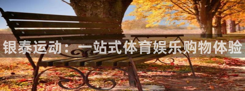 下载风速体育：银泰运动：一站式体育娱乐购物体验
