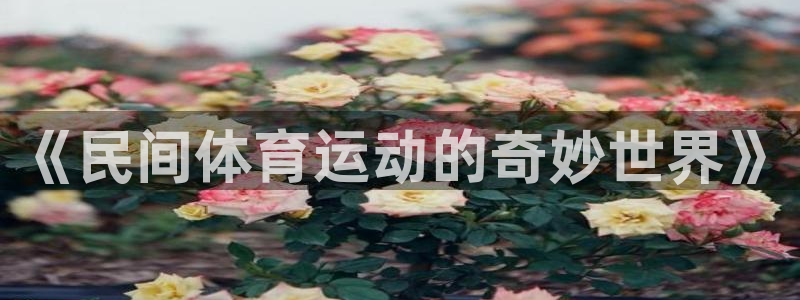 风速体育：《民间体育运动的奇妙世界》